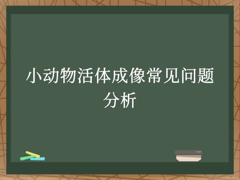 小动物活体成像常见问题分析